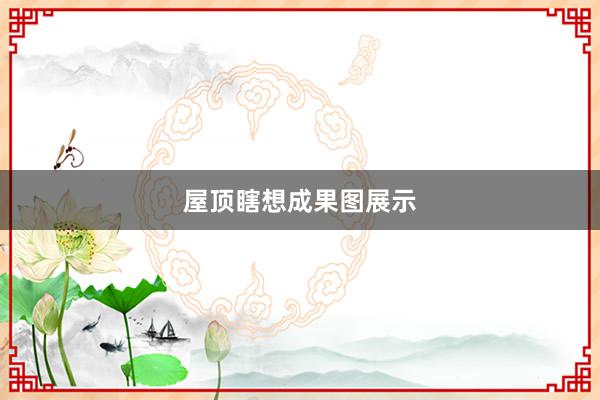 屋顶瞎想成果图展示