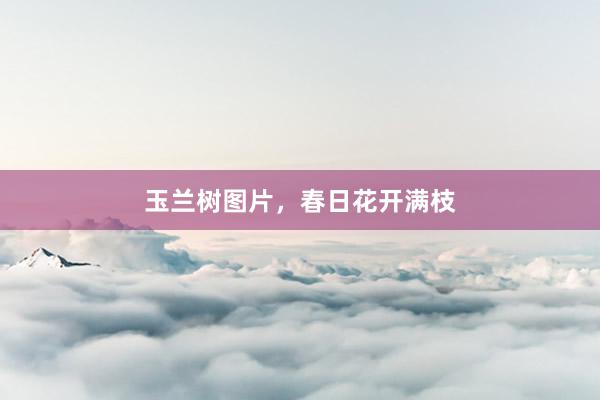 玉兰树图片，春日花开满枝
