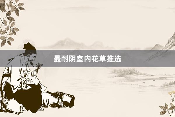 最耐阴室内花草推选