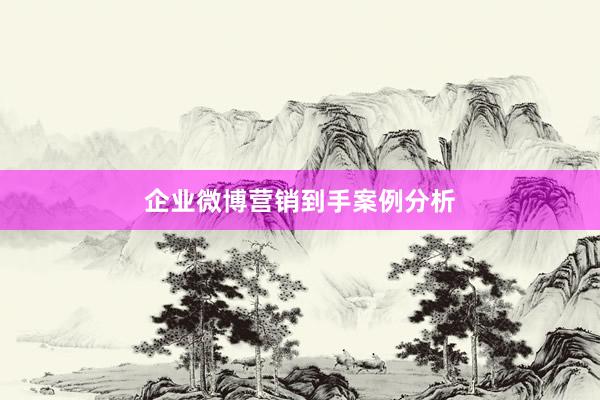 企业微博营销到手案例分析